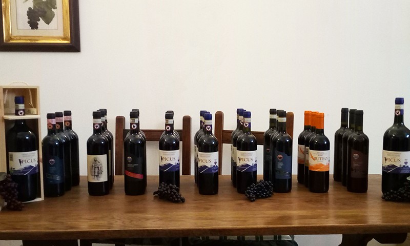 degustazione-vini-mirandola-nel-chianti-1